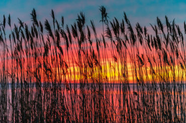 8 Dreamy Photos of Long Beach Island