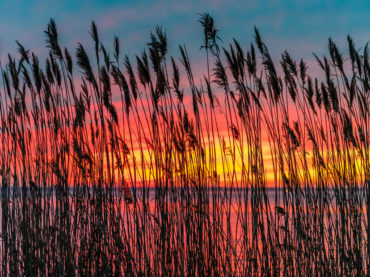 8 Dreamy Photos of Long Beach Island