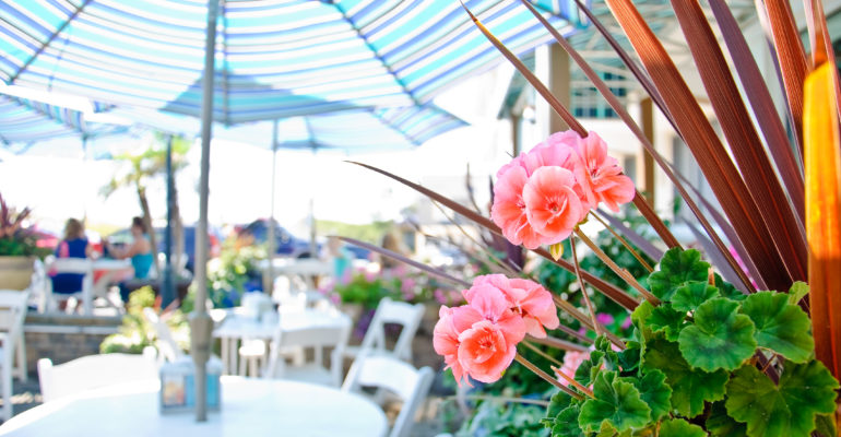 Top Shelf: Best Bars on Long Beach Island