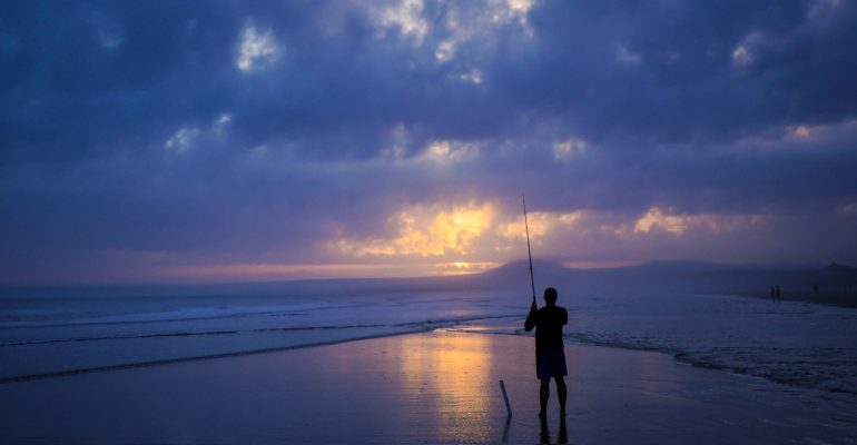 Long Beach Island NJ Fishing Report