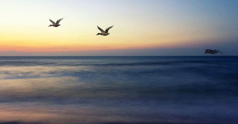 26 Reasons to Spend Spring Break on LBI