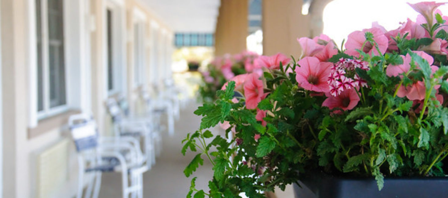 Discover Spray Beach Hotel on LBI: Best Place to Stay in Beach Haven Area