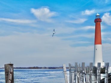 LBI For Beginners